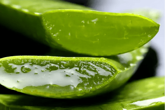 Aloe Vera: Neye yarar, nasıl kullanılır? - RHANEVA