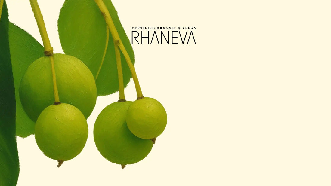 Tamanu Yağı Nedir? Faydaları Nelerdir? - RHANEVA
