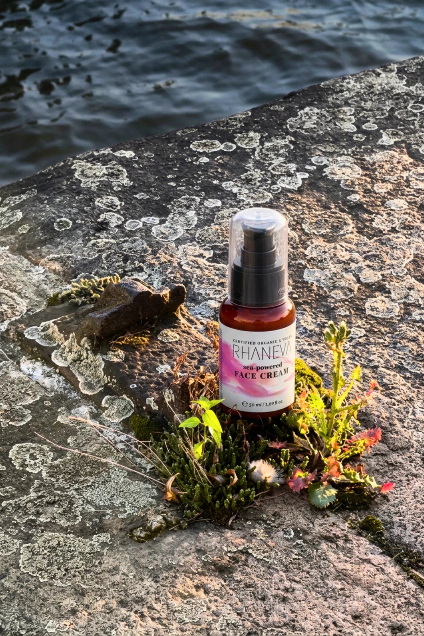 Bariyer Destekleyici Yoğun Nemlendirici Yüz Kremi, Organik ve Vegan Sertifikalı, 50 ml | RHANEVA - RHANEVA
