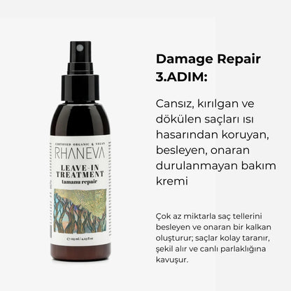 Damage Repair - RHANEVA
