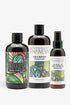 Damage Repair Hair Kit - Restore Strength - RHANEVA